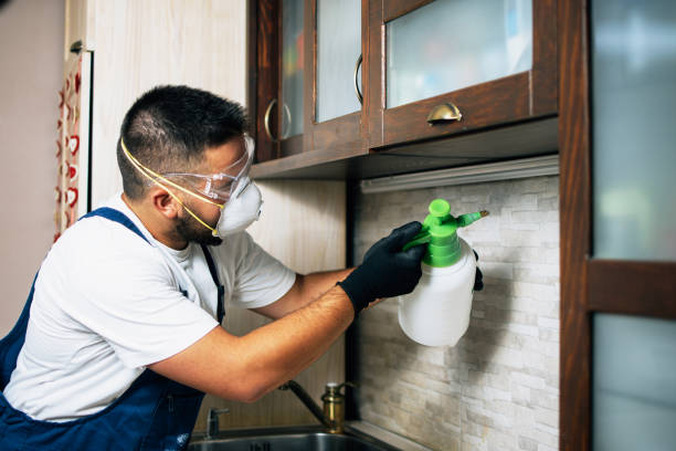Best Cockroach Control Services  in Romoland, CA