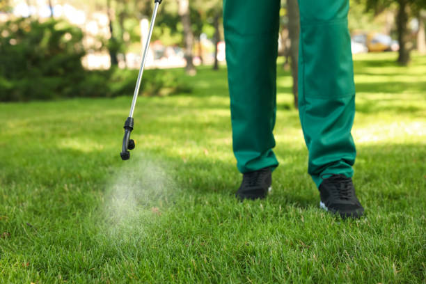 Best Ant Control Services  in Romoland, CA